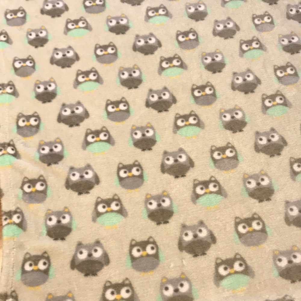 Garanimals Owl Baby Blanket